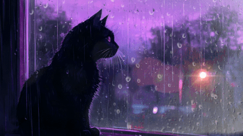 35725375 MotionElements cozy black cat standing in the window side rain c vimage.gif