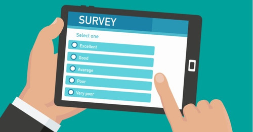 survey.jpg