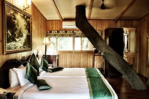 tree house resort.jpg