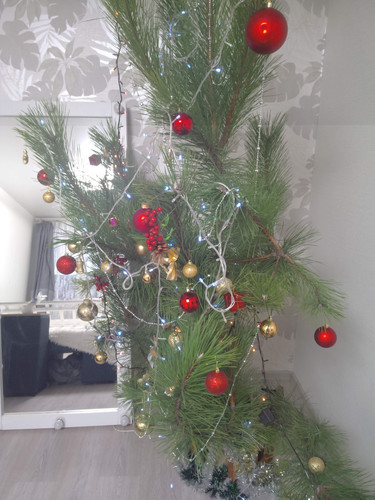 IMG 20220111 132311.jpg