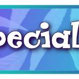 gwen penguin special sale