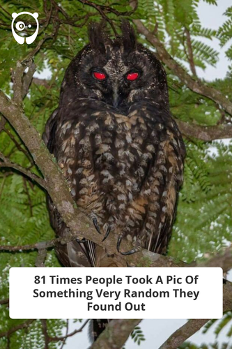 937db687 82e1 420b ba19 2d797d1a79a8.png