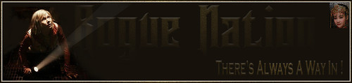 Torch Banner.jpg