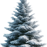 element EF (39).png