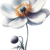 element EF (34).png