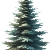 element EF (36).png