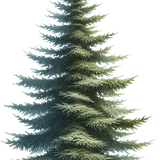 element EF (55).png