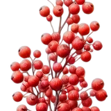 element EF (16).png