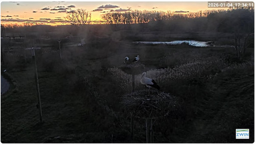 MWSnap554.jpg