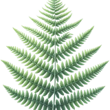 element EF (14)
