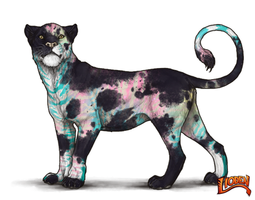 lioden wardrobe (39).png