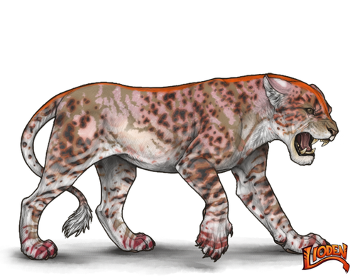 lioden wardrobe (65).png