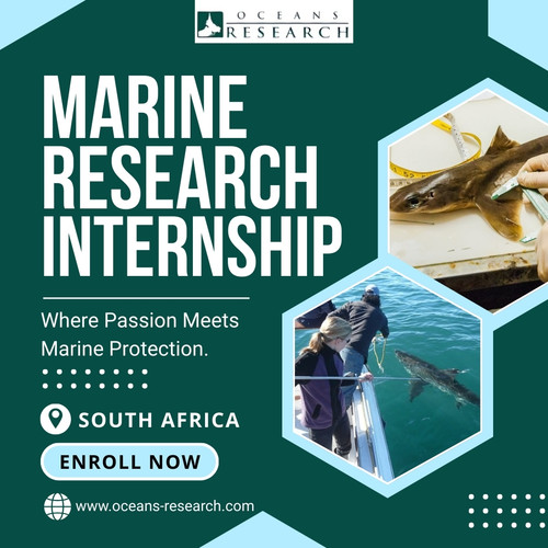 Marine Research Internship.jpg