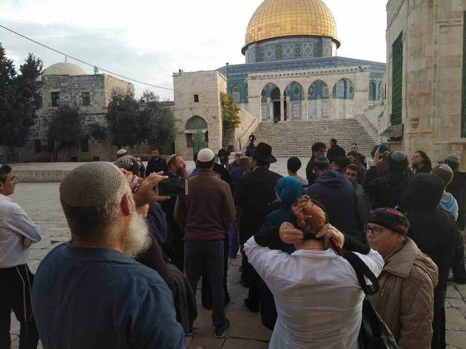 وزارة الأوقاف والشؤون الدينية: 27 اقتحامًا إسرائيليًا للمسجد الأقصى، و53 حالة منع لرفع الأذان في الحرم الإبراهيمي خلال شهر ديسمبر 2025...