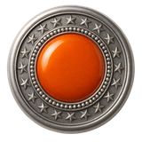 Glossy Web Buttonı Resimleri V040120262126 N15