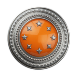 Glossy Web Buttonı Resimleri V040120262126 N60