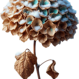 element EF (54).png