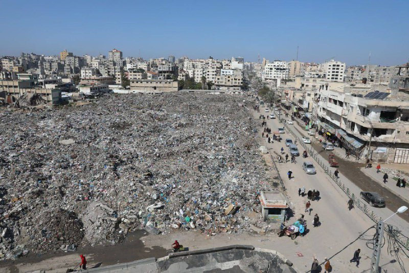 مدير الطب الوقائي بوزارة الصحة في غزة أيمن أبو رحمة: الوضع البيئي في القطاع ينذر بخطر صحي واسع مع تراكم النفايات وانتشار القوارض قرب خيام النازحين، في...