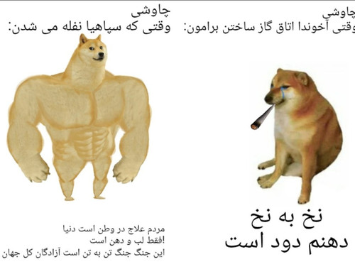 G6 BBReXYAAvzF8?format=jpg.jpg