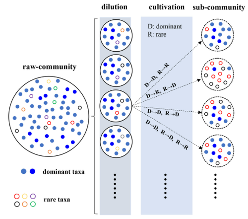 G7F417QX0AEcO53.png