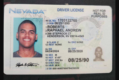 Raphael Andrew Roberts license image.jpg