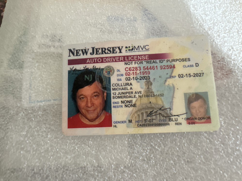 Michael A Collura license image.jpg