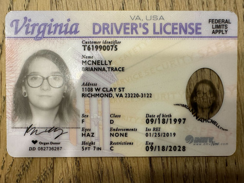 Brianna Trace Mcnelly license image.jpg