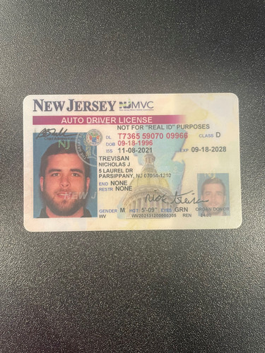 Nicholas J Trevison license image.jpg