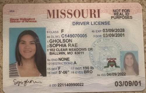Sophia Rae Gholson license image.jpg