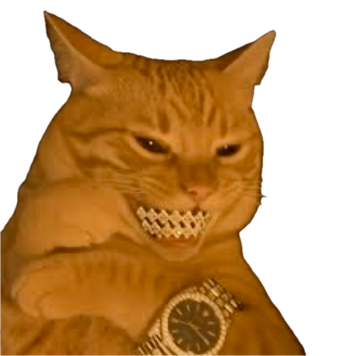 cat.png