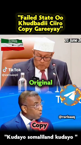 35Dgv9LnunIrx vE.jpg