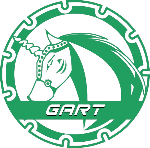 gurt.png