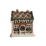 Untitled1319 20241202210400