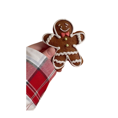 Untitled1319 20241201212720.png