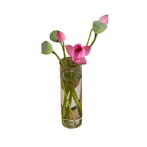 Untitled1112 20240609121834.png