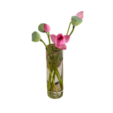 Untitled1112 20240609121834