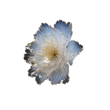 Untitled1111 20240607212524