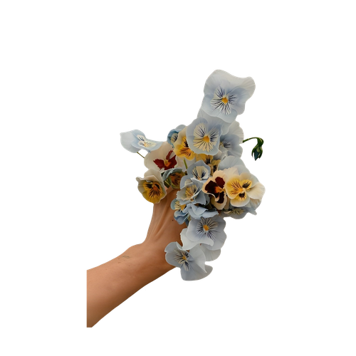 Untitled1111 20240607222711.png