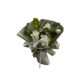 Untitled1112 20240609075844