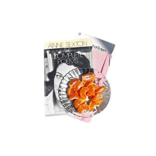 Untitled1133 20240616145835.png