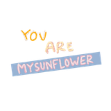 Untitled1112 20240616130212