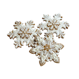 Untitled1319 20241202215654