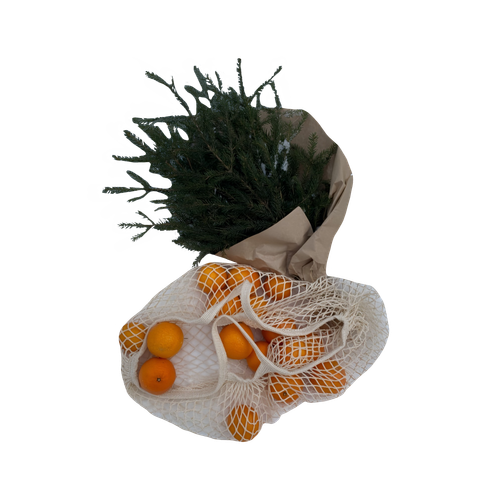 Untitled1318 20241201112837.png