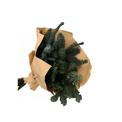 Untitled1318 20241130080302.png