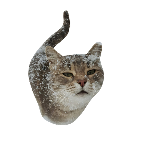 Untitled1318 20241128204343.png
