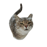 Untitled1318 20241128204343