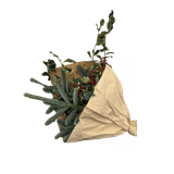 Untitled1318 20241128213402