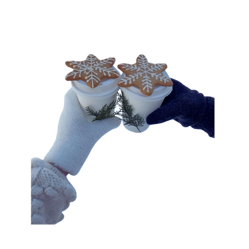 Untitled1318 20241130084806.png