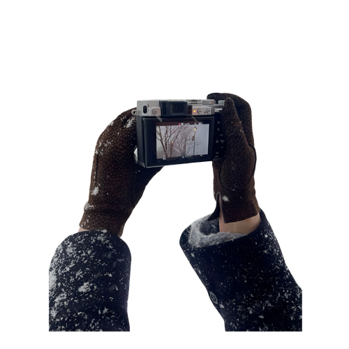 Untitled1318 20241129214225.png
