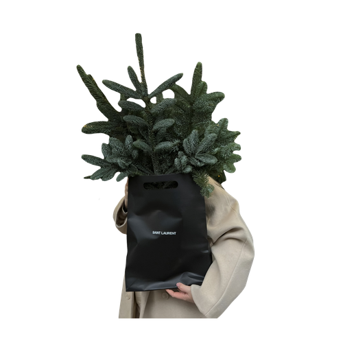 Untitled1318 20241128214058.png